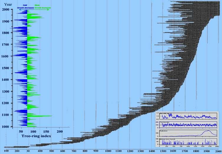 Pitkien vuosilustosarjojen historia Metlassa Vuonna 1994 aloitettiin Kasvun vaihtelun tutkimushankkeessa professori Kari Mielikäisen johdolla työ, jossa koottiin elävien puiden, kelojen, vanhojen