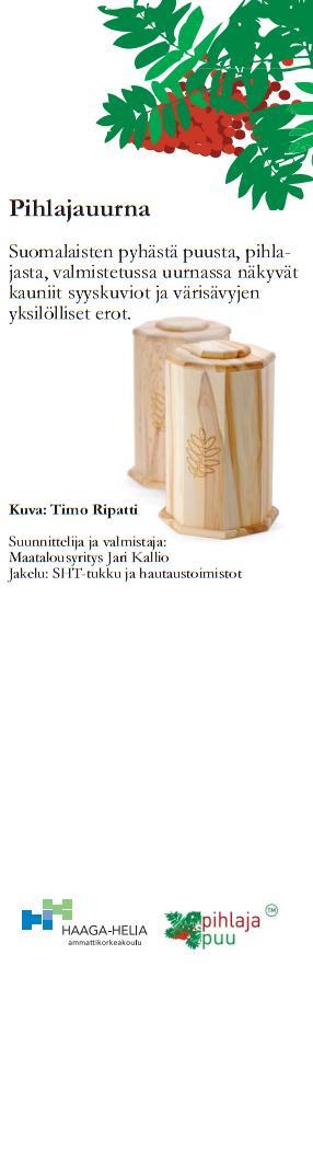 Liite 15: Pihlajauurna ja