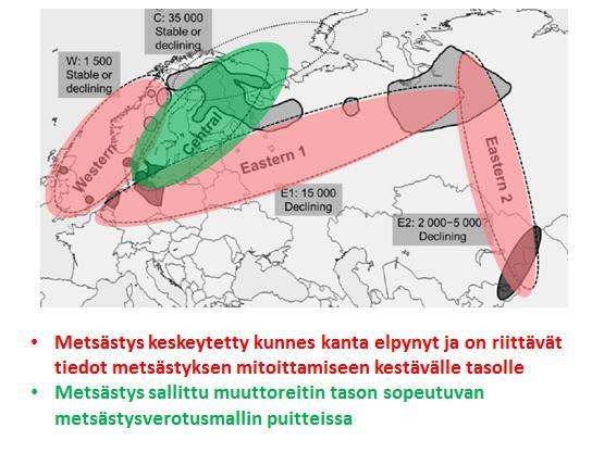 Taigametsähanhen kannanhoidon uusi aika Euroopan hanhitoimintaohjelman 2. työryhmäkokous pidettiin kesäkuun puolivälissä 2017 Kööpenhaminassa.