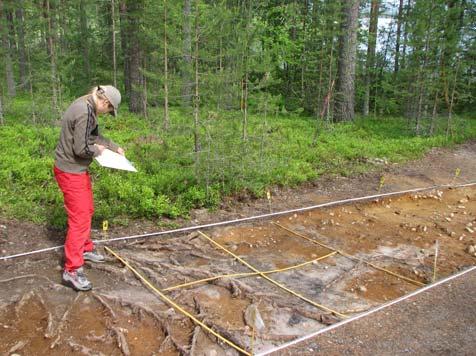 Löytöjen jakautuminen eri kaivauskerroksiin alueella 1. DG 19:4. lueen 1 kerrosta 1 kaivetaan. W-E. Kuva Petro Pesonen 26.6.2007 DG 19:7. lueen 1 tasoa 1 piirretään, Tiina Kinnunen.