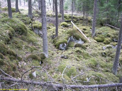 14 10 kaivantoja x 6797 530 y 2478 324 Koilliseen viettävässä mäen rinteessä, kuusimetsässä on