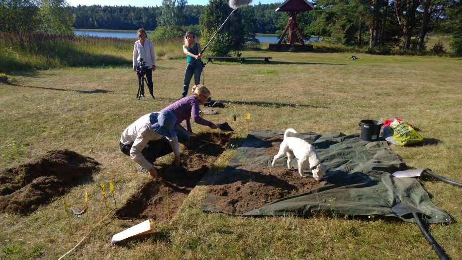 Kenttätöiden aikaan sääolosuhteet olivat varsin aurinkoiset ja välillä jopa helteiset.