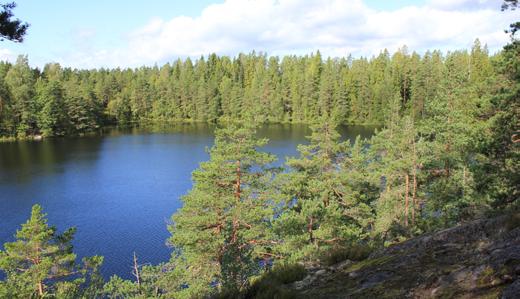6. TOIMENPITEIDEN VESISTÖVAIKUTUSTEN ARVIOINTI Eri sektoreilla tehtävien vesiensuojelun toimenpiteiden vaikutuksia on arvioitu taulukossa.