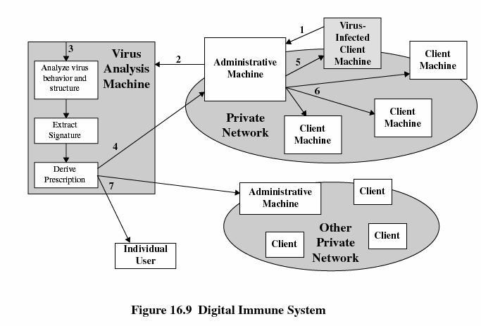Digital Immune System 59