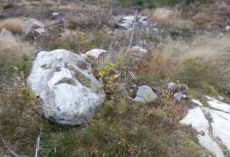 Kuva 1. Kivisyys aiheutti haasteita uudistamiselle osalla uudistusaloja. ( Ville Vesilahti, 2014). Uudistamisen laatuun vaikuttavaa märkyyttä ei ollut havaittavissa millään uudistusalalla.