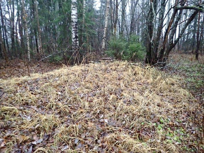 Maasta kasattu vallimainen kumpare (nykyaikainen), kuvattu kaakkoon.