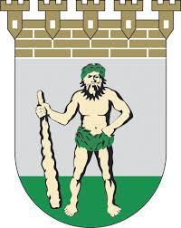 Projektiorganisaatio