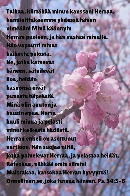 myös esirukouksianne. Ristivaelluksen suhteen on vielä paljon avoimia asioita, mutta yksi kerrallaan asiat etenevät.