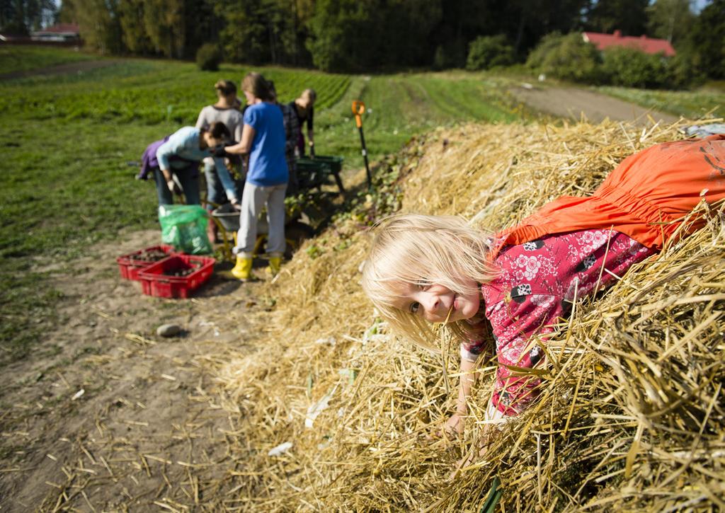 Lähiruuan uudet myyntikanavat, 23.1.