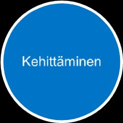 Kehittämisvaiheessa tehdään auditoinneissa esille tulleet tarvittavat korjaukset organisaation