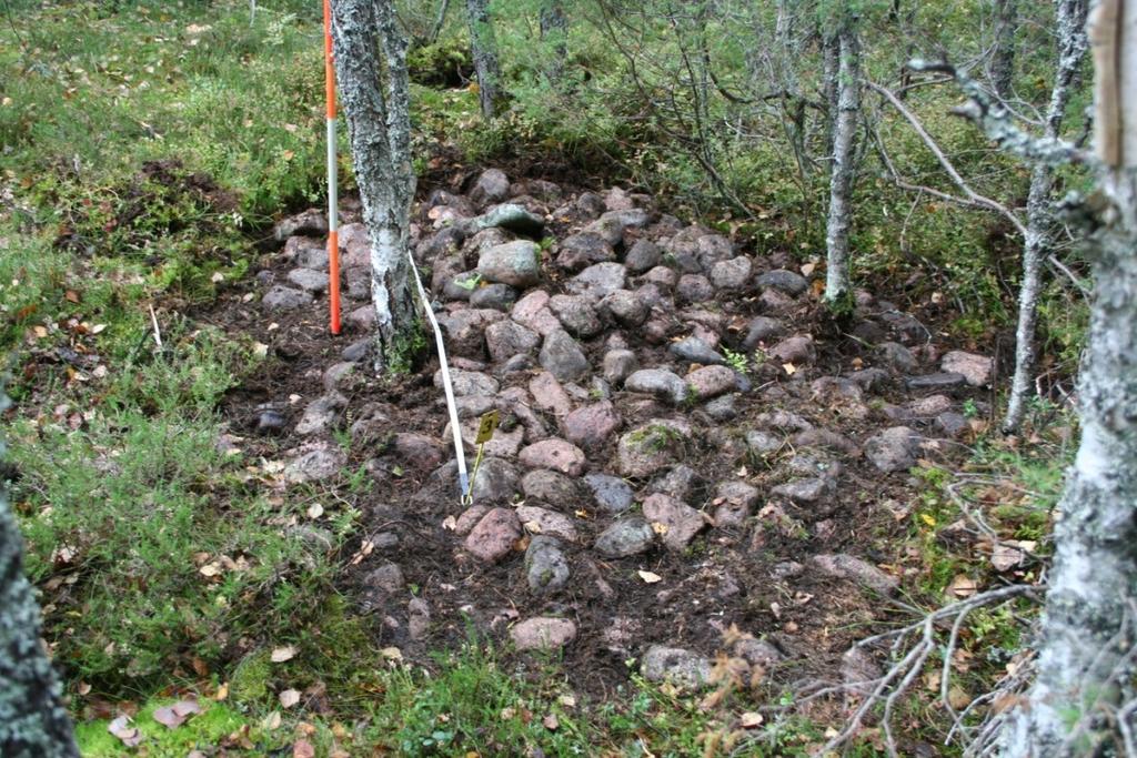 Kuvaaja.