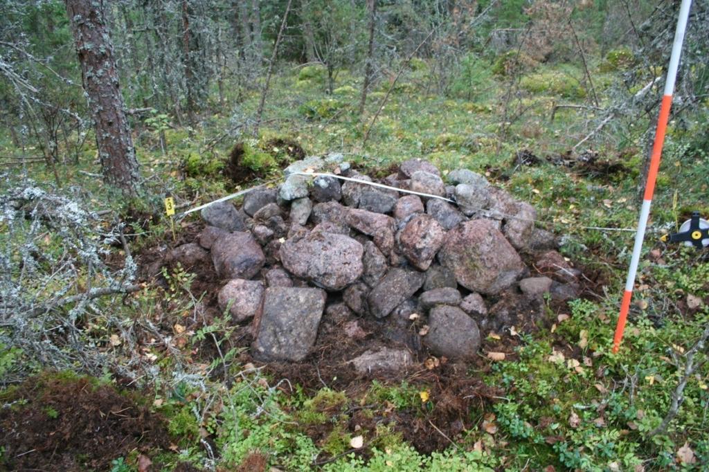 Kuvaaja.