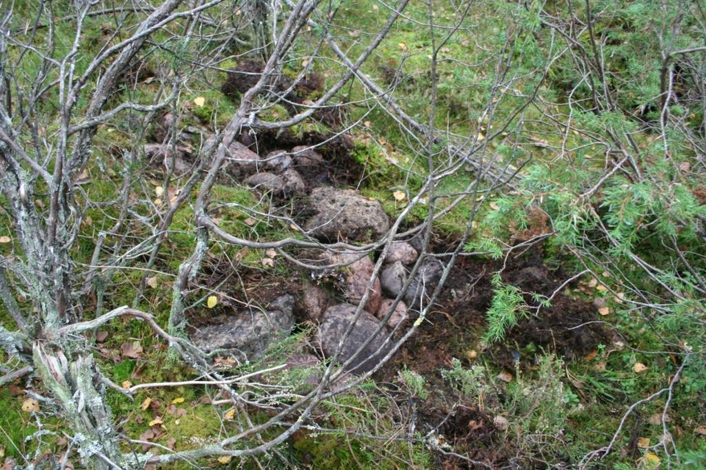 Röykkiö 6 DG2558:6 Röykkiö 6