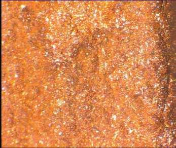LIITE 3 (3/7) Koe 9 110 X 1020 A/m² 520 A/m² 290 A/m² 130