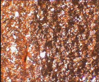 guar (mg/l) 2 16 10,0 Koe 23 840 A/m² 520 A/m²