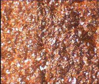 guar (mg/l) 2 16,5 2,0 Koe 24 840 A/m² 520