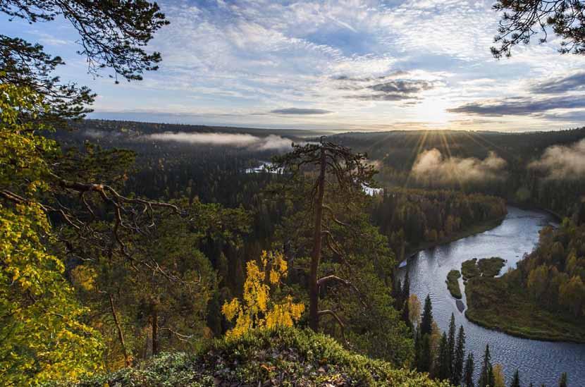 PARANTAMINEN TAITEENA JA TAIDE PARANTAMISENA Seminaari to 13.7.2017 klo 12.45-18, Kuusamotalo.
