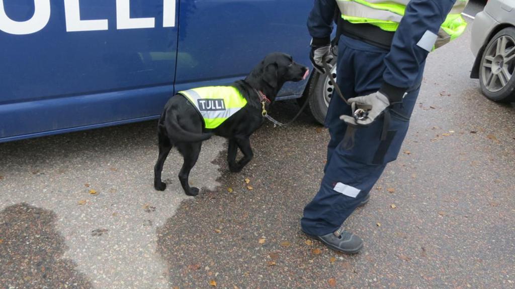 "Kun saisi edes prosentin Kiran innosta"