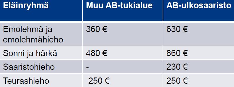 Teurashiehojen palkkio: maksetaan eläinkohtaisesti tukivuonna tehdyn teurastuksen perusteella Enintään 4 v.