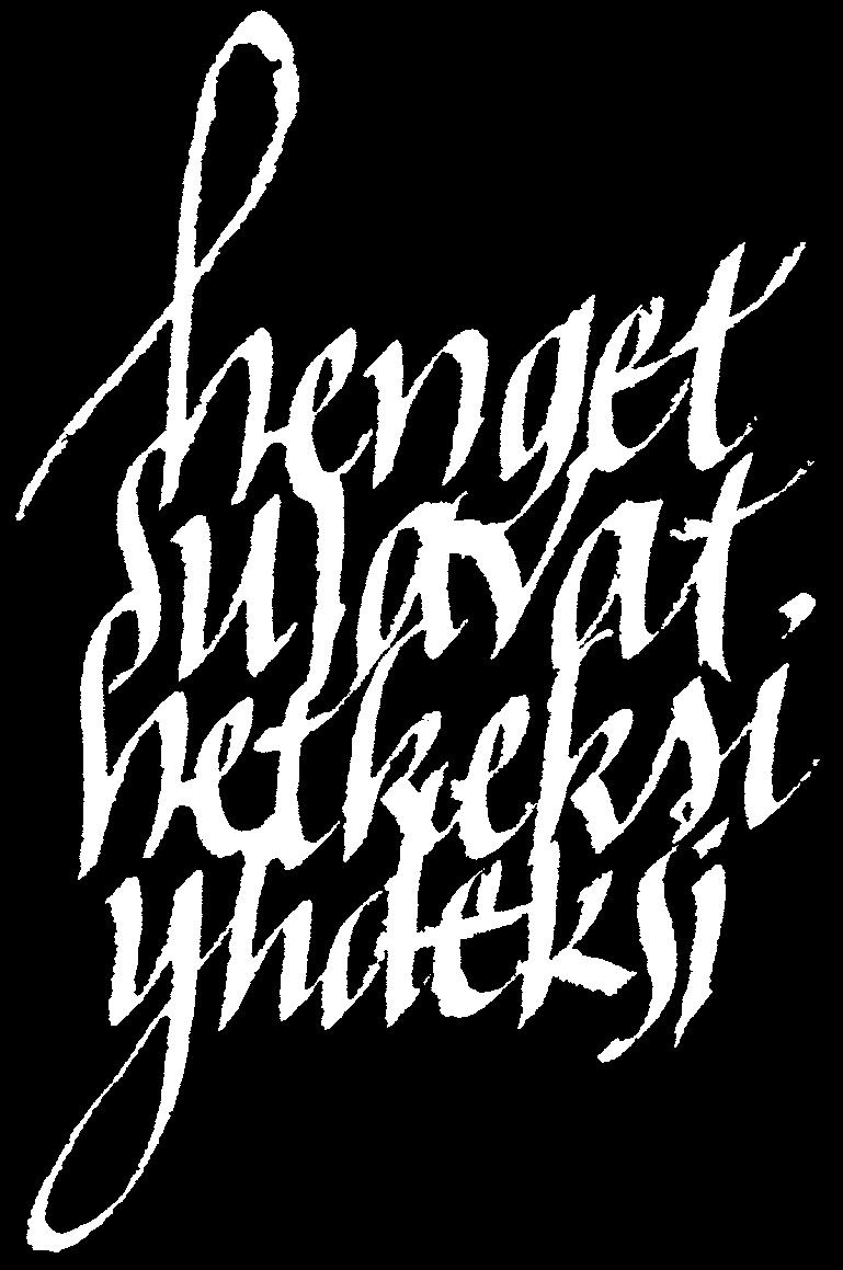 muita pidemmän tekstin,