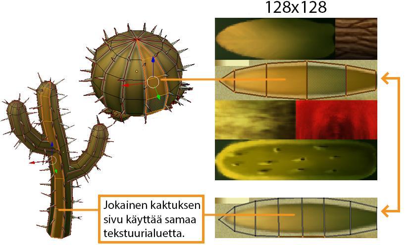 satunnaisiin paikkoihin auttaa lisäämään realismia. Kuva 24. Kasvin tekstuurikoordinaatit.