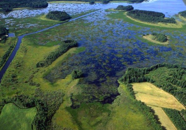 Kuva 5. Lassilanjoki näkyy selvänä uomana varsin umpeen kasvaneessa Inhottujärven itäpäässä. Ilmakuva: Noormarkun kunta 1992.