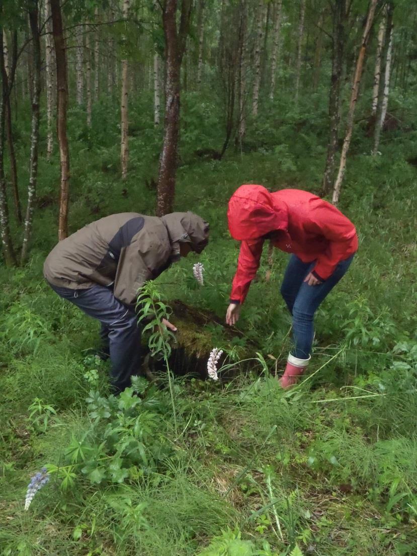 Jässi-jätevesihanke Imatran seudulla