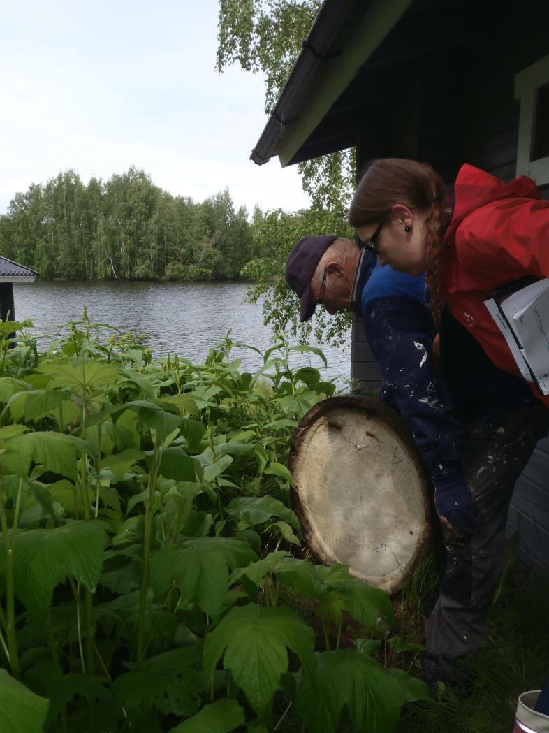 Rautjärvi ja Parikkala Tilannekatsaus