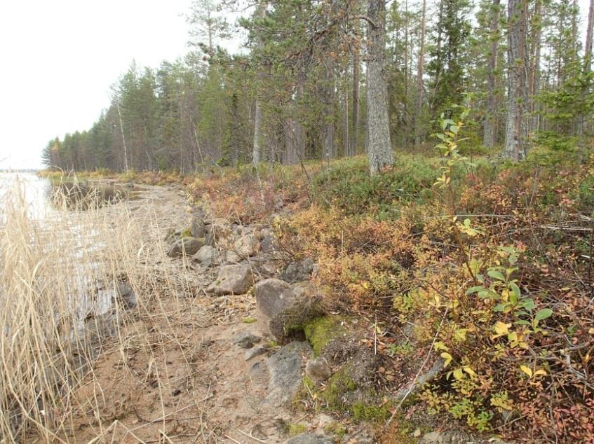 viereisen alueen itäpuolella kesämökin pihassa, molemmat tervahaudat aivan rannassa.) Inventoinnissa löydettiin kolme muinaisjäännöstä, kaikki tervahautoja, kahdelta eri alueelta.