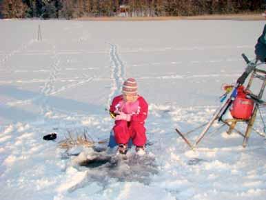 Kuva 15. Kalastusharrastuksen suosio on lisääntynyt Lohjanjärvellä. Runsaimmat saalislajit olivat hauki, kuha, ahven, sulkava ja muikku (kuva 16).