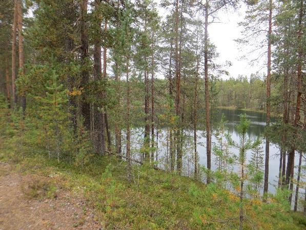 ympäristössä.