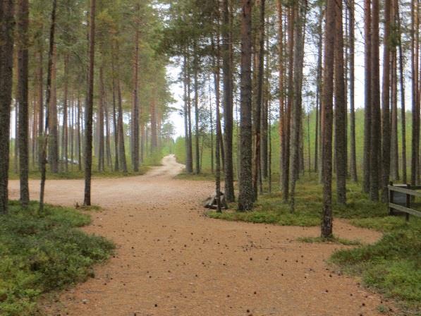 Leirintäalueen yhteydessä on vierassatama.