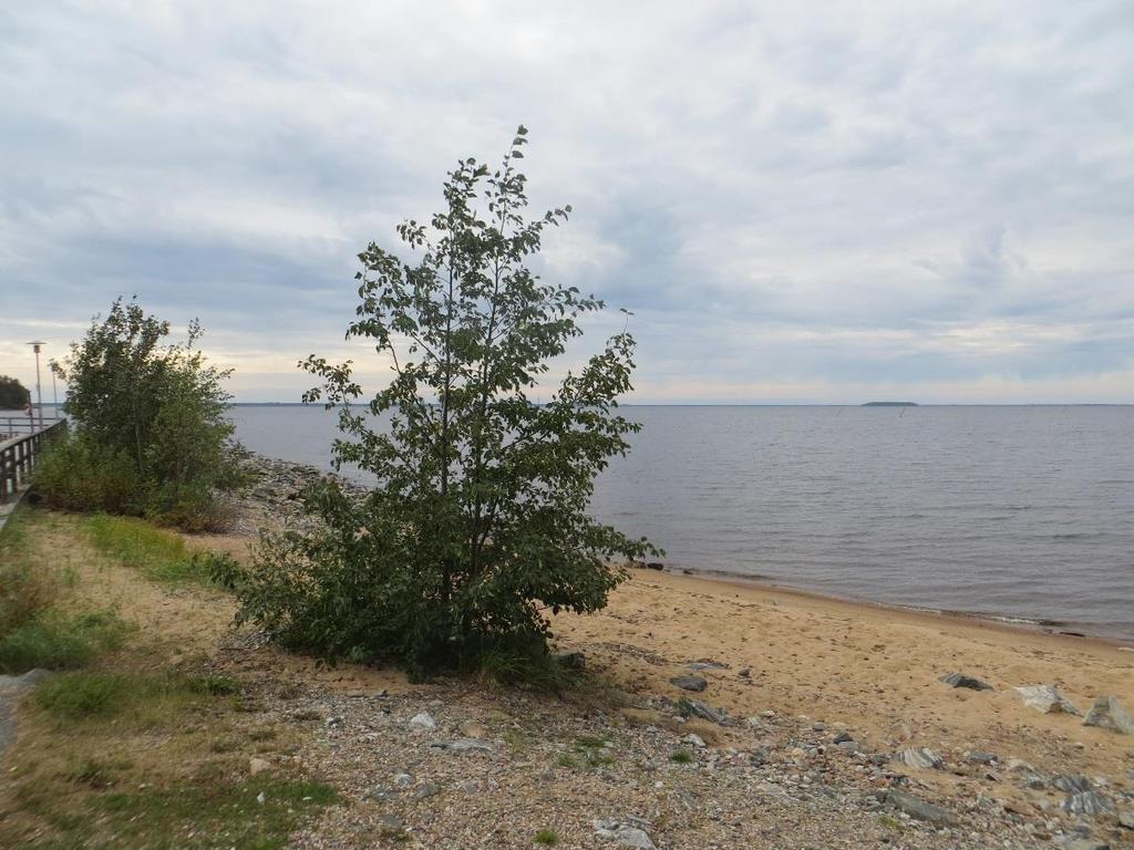 3.7 Ympäristön häiriötekijät Manamansalossa on vyörymävaarallisia rantoja, jotka on