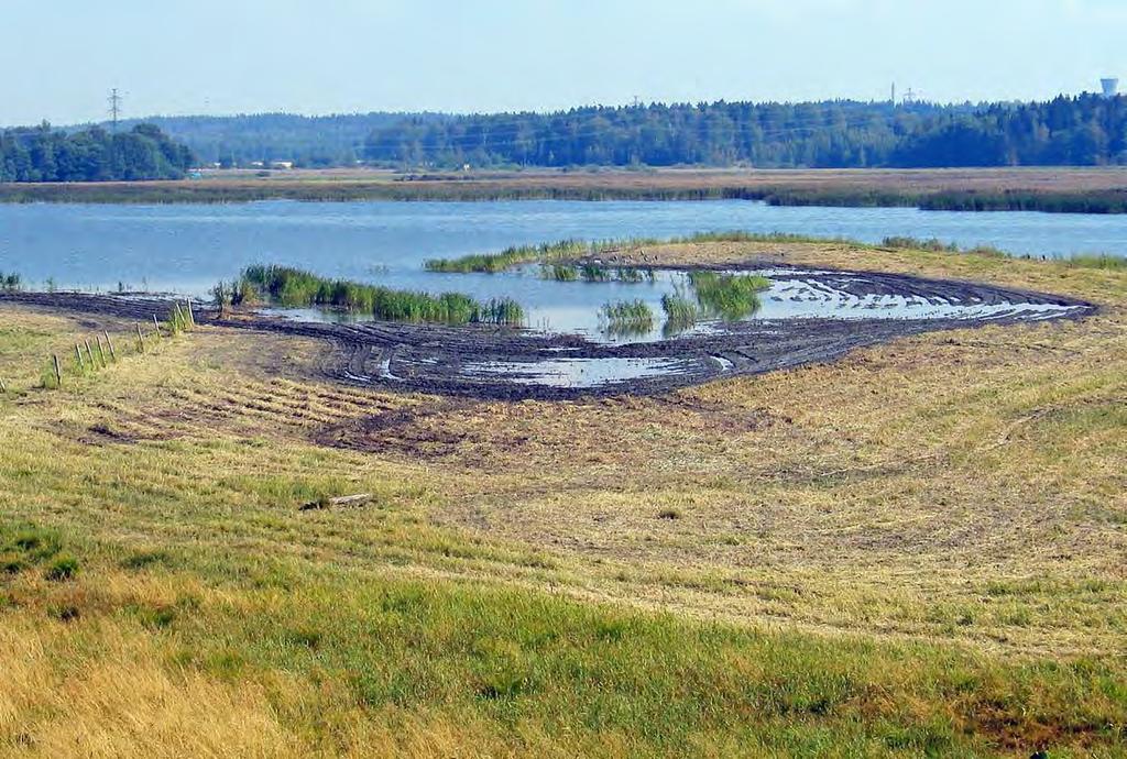 Helsingin kaupungin ympäristökeskuksen julkaisuja 14/2009