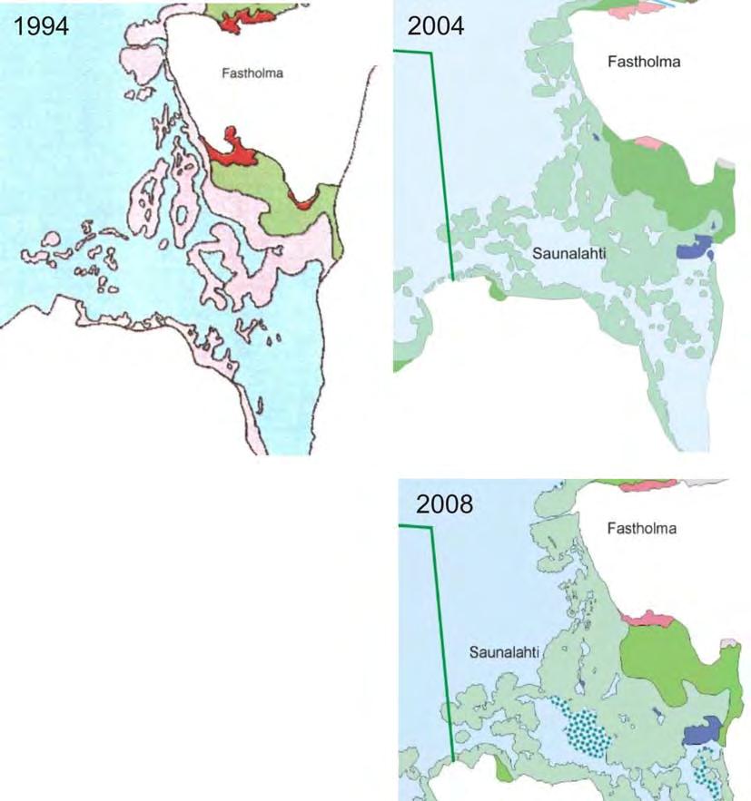 Kuva 4. Saunalahti 1994, 2004 ja 2009. Saunalahden suualueen ruoikot laajentuivat vuosina 1994 2004 huomattavasti ja lampareiden pinta-ala Fastholman länsirannalla pienentyi.