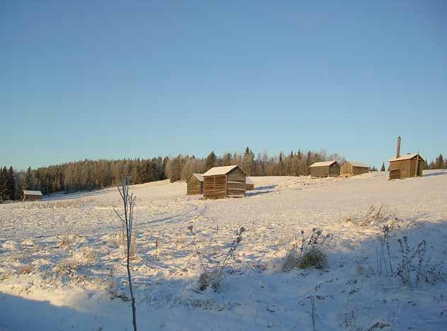 luonnonlakien mukaan toimiva elävä ja kehittyvä, dynaaminen ympäristökokonaisuus.