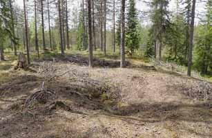 Kuorikkikangas kivikauden talossa Kuorikkikankaan asuinpaikka sijaitsee Yli-Kitkan kaakkoisosassa, Kuorikkiselän Akanlahden rannalla.