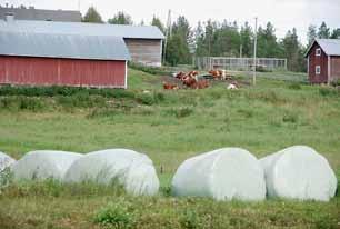 Maaseutumaiseman muutos Maatalouden kehitys nykyiseen suuntaansa alkoi Posiolla verrattain myöhään, vasta toisen maailmansodan jälkeen. Keskeinen syy kehityksen eriaikaisuuteen oli myöhäinen isojako.