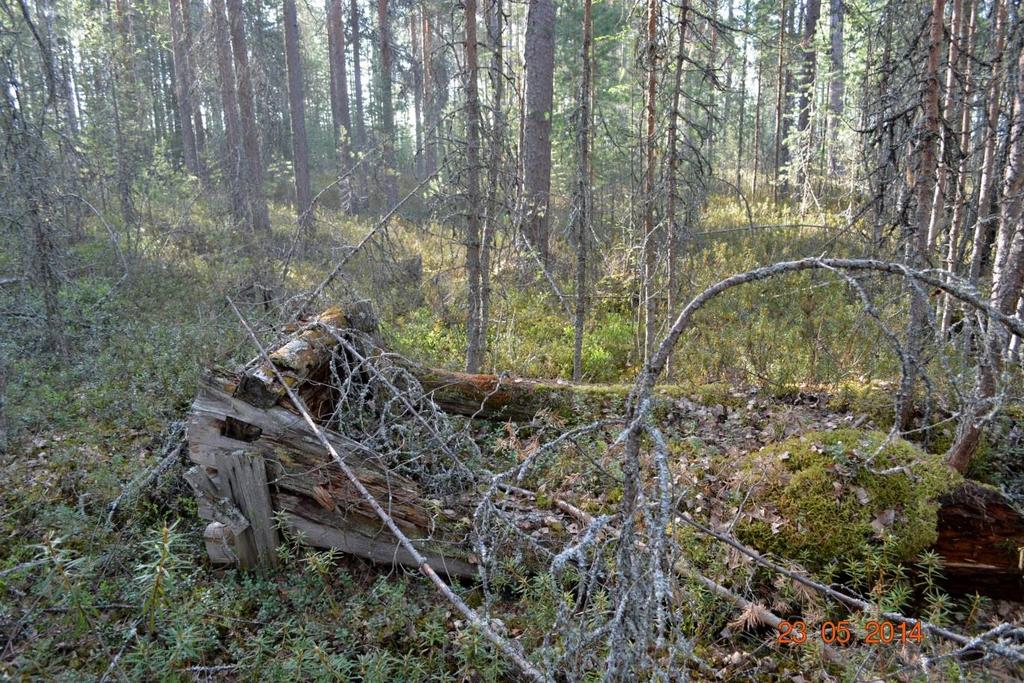 Uuden mallin tuliasema Krh:n tuliasema oli kuoppa, jonka etureuna oli vahvistettu hirsivallilla. Kolme heitintä oli n.