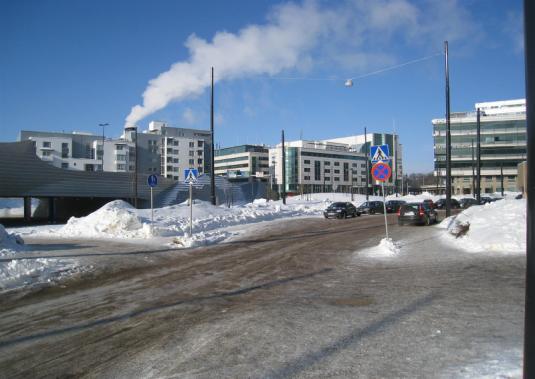 Unioninkatu, kasvitieteellisen puutarhan aita 15.