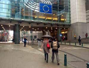 Susiasiaa Brysselissä teksti Francisco Sánchez Molina ja Sami Säynevirta suomennos Minna Leinonen Luonto-Liiton susiryhmän edustajat vierailivat helmikuussa Brysselissä Euroopan komissiossa ja
