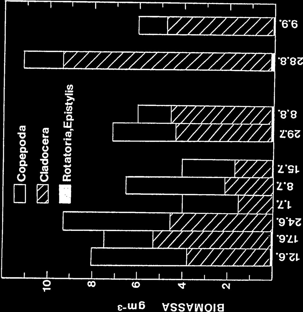 Tärkeimmät rataseläimet olivat Filinia longiseta (23,7 ±6,5 % rotatorien biomassas ta), Tricocerca capucina (17,9 ±2,8 %) ja Brachionus angularis (11,7 ±2,1 %), jotka kaikki esiintyvät joka näyt
