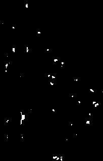 5. 1 8,3 9,4 80 6,7 1400 5 600 44 68 14 21 46 0,5 2,5 7,1 8,9 73 6,8 2000 4 600 69 66 26 12.6. 0 2 2000 <1 <5 18 60 5 33 <5 >6,6 1 15.4 10,4 104 7,9 2,5 15,4 10,3 103 8,2 17.6. 1 16,0 9,6 97 7,6 680 <1 <5 22 67 <5 10 6 1,7 2,5 15,6 9,1 91 7,7 770 <1 <5 17 67 8 24.