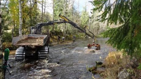 Kunnostuskohteeksi valittiin Suninkoski, joka on Jyllinjoen toiseksi alin koskialue.