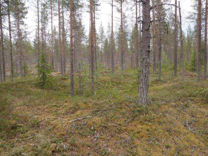 151 Ympäristön 0 Ei