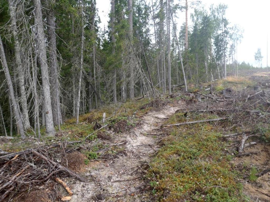 101 Ympäristön 0 Ei määritelty Lieden