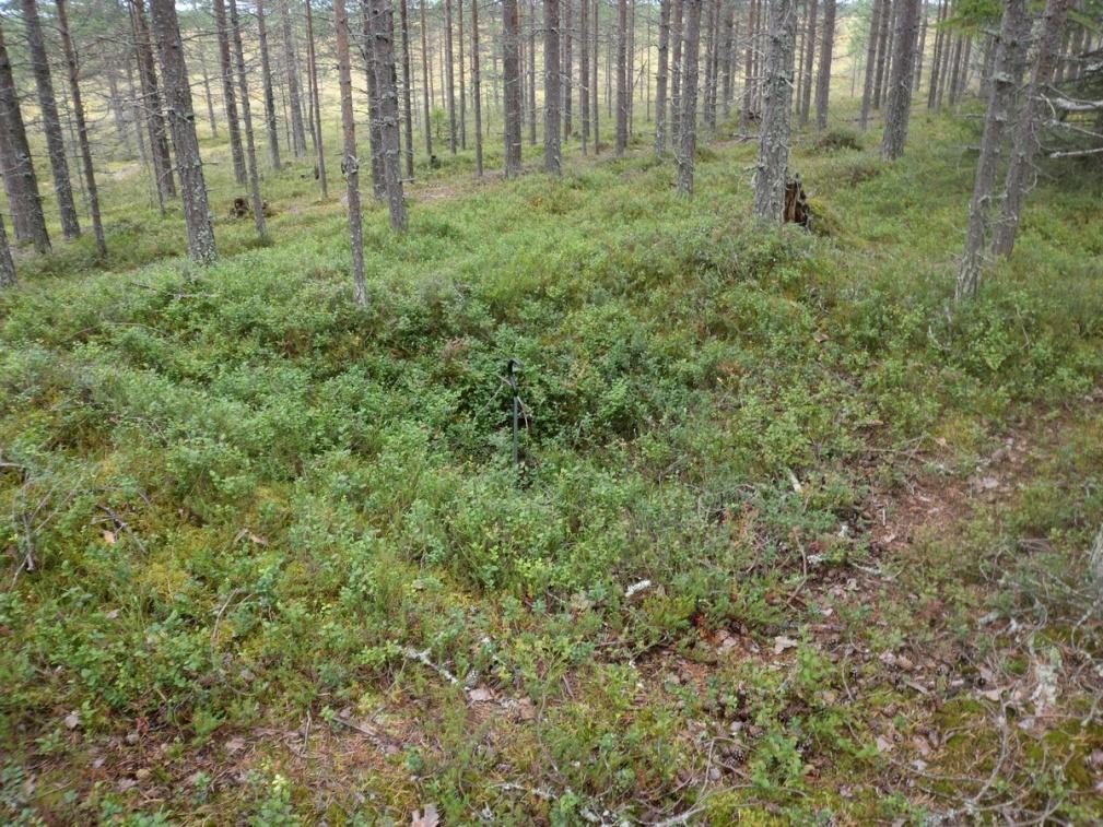 73 Kohde rajautuu aluemaisesti näkyvien jäänteiden mukaisesti.