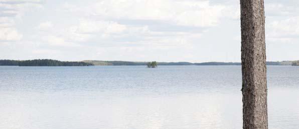 TIEDÄTHÄN, että Ainoakoti kantaa puolestasi päätoteuttajan vastuun koko toimitussisältönsä osalta.