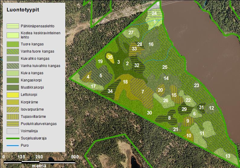 Kuva 2. Nydalsvikenin metsän luontotyypit 6.