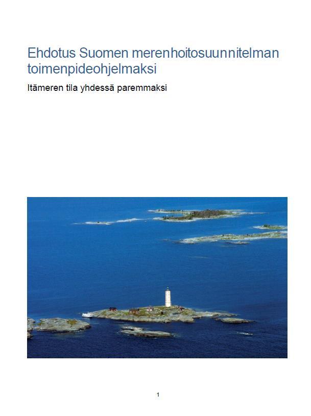 Toimenpideohjelman valmistelu Valmisteltu laajapohjaisessa työryhmässä 2013 2014 Vetovastuussa